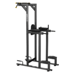 Vertical Knee Raise Machine