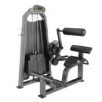 ECO-1031 Back Extension
