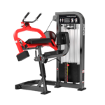 HAM-10 TRICEPS EXTENSION