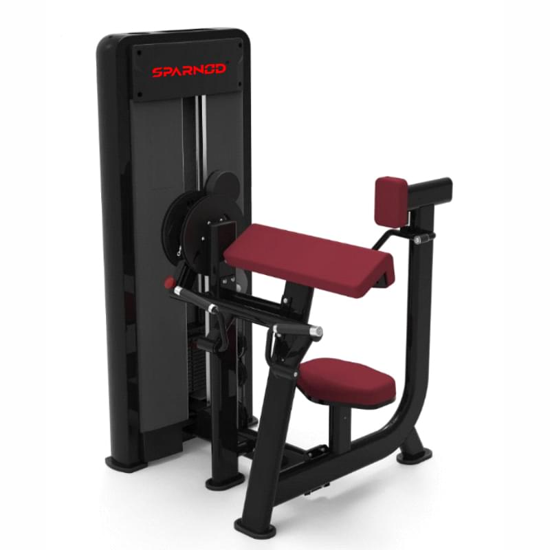 SIG-5504 Biceps / Triceps - Image 1