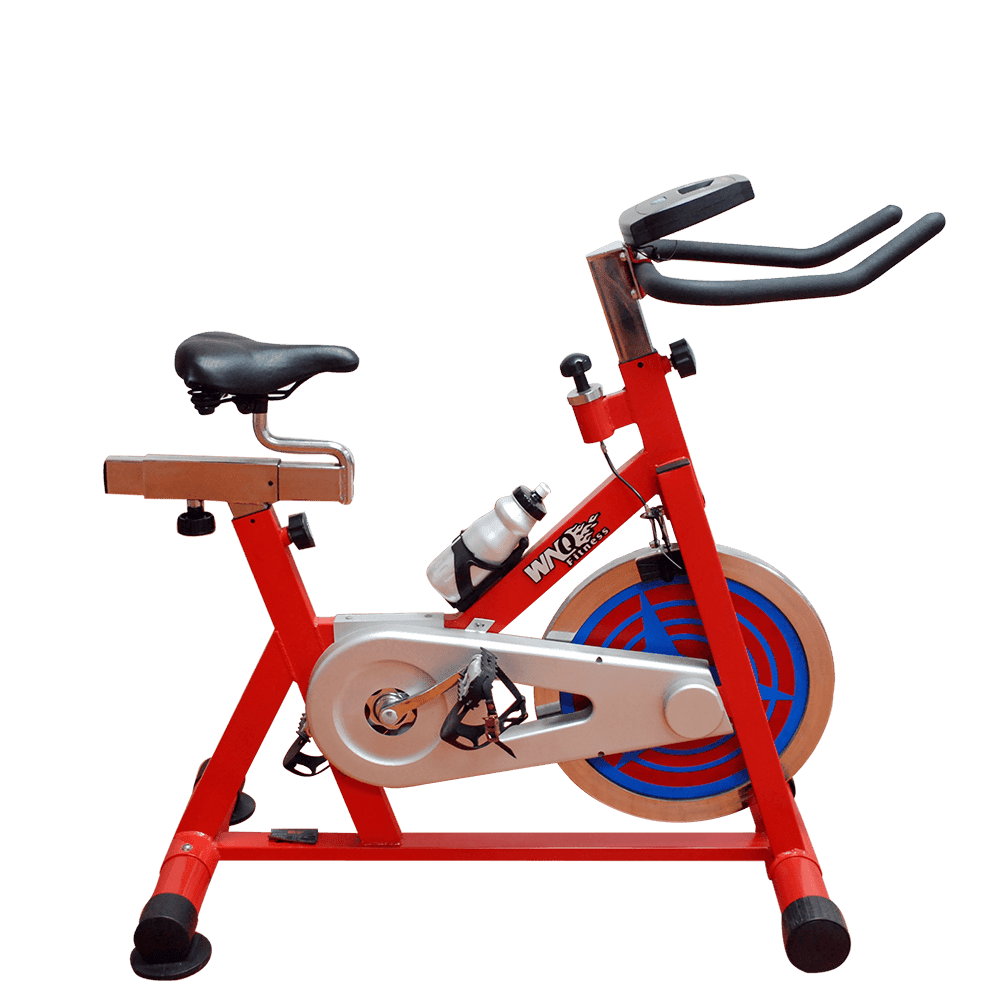 SSB-21/WNQ-318M1 Spin Bike Exercise Cycle for Home Gym - Image 1